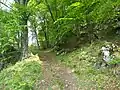 Mt. Tavagnone, mule track leading to Dos di Sas, and over the Bocca della Véna pass to Mt. Camiolo or Droane