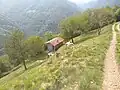 Mount Tavagnone, Salvadori agricultural fund and in the background the village of Bollone