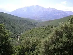Monte Cardo