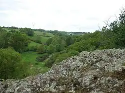 Valley of Bray Creek