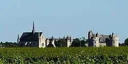 A general view of Montreuil-Bellay