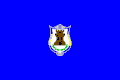 Flag of Mora, Spain