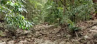Woondum State Forest, 2021