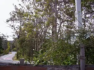 Mount Nebo, Queensland