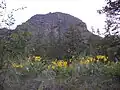 Looking up at the east face of Mount Boucherie.