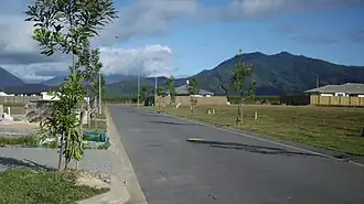Suburban development in Mount Peter, 2020