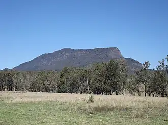 Mount Widgee, 2014