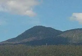 Mount Arthur, Lilydale