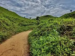 Hills in Sreebardi upazila