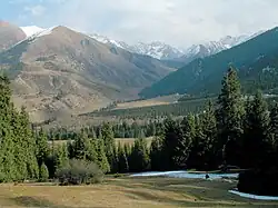 The Teskey Alatoo in the area surrounding Jeti-Ögüz, with visible pine-tree plantation.