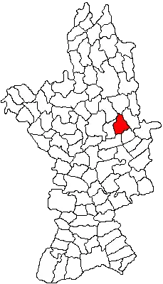 Location in Olt County
