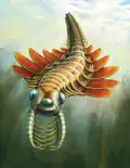 Mosura fentoni by Danielle Dufault, 2025
