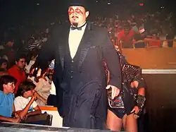 Mr. Fuji