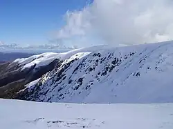 Mount Bogong