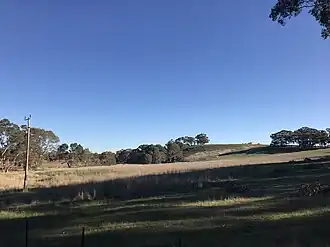 Muckleford hills, from Rilens Road, 2017