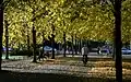 Promenade in autumn