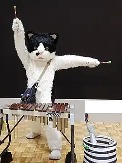 Mugi the Cat
