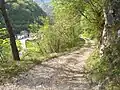 Mount Tavagnone, the forest road from Bollone Mill up to Mount Tavagnone built in the 1970s by ERSAF Lombardy