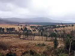 From the R759
