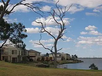 New residential development on the shore of Lake Mulwala.