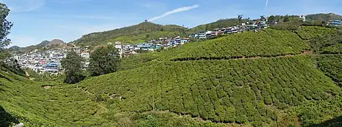 The town of Munnar from the neighbouring plantations.