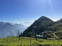 View of tea estates in Kolukkumalai, a hamlet nearby Munnar, in Theni district, Tamil Nadu.