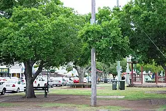 The park on the main street of Murgon