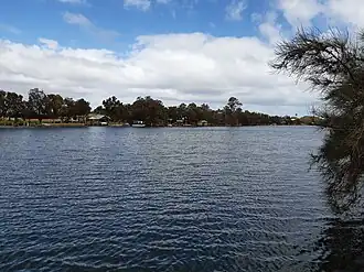 The Murray River at North Yunderup