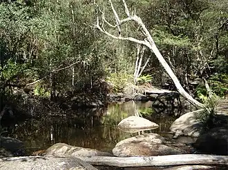 The Murrindindi River flows through the town