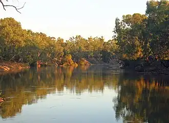 The Murrumbidgee River at Wagga Wagga
