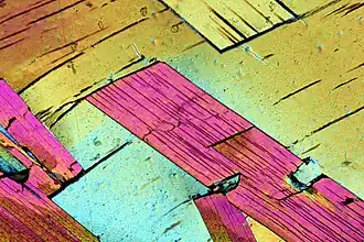 Tabular muscovite crystals in a gneiss in thin section viewed under cross-polarized light at 2x magnification