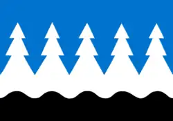 Flag of Mustvee Parish