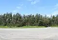 Behind the beach