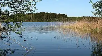 Lake Nõuni