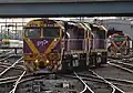 N462 "City of Shepparton" leads N453 "City of Albury" at Southern Cross, while 475 "City of Moe" looks on
