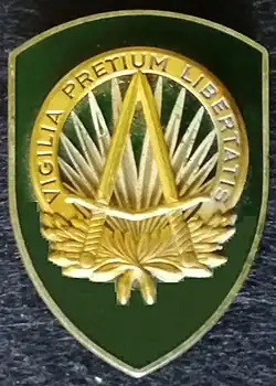 NATO SHAPE badge