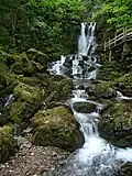 Dickson Falls