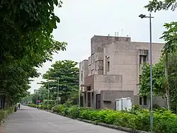 Tree-lined road in the residential area