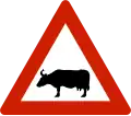 Animals (cattle)