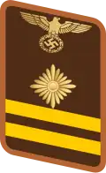 Gorget patch for Hauptarbeitsleiter