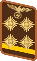 Gorget patch for Obergemeinschaftsleiter