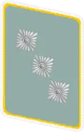 NSFK Gorget patch