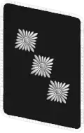NSKK Gorget patch