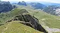 Prutaš, Durmitor