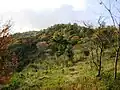 A view in the middle of Mount Nagamine (11/2008)