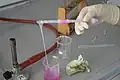 The nylon is pink because the solution has an indicator dye in it.
