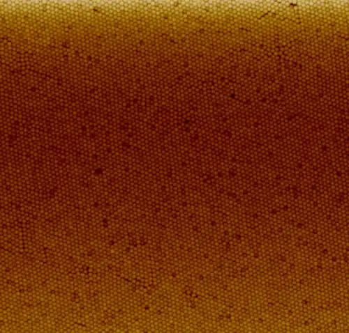 Nanoparticle coating of polystyrene nanoparticles on quartz prepared with the Langmuir-Blodgett method.