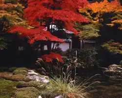 In the fall