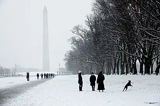 Image 97The Mall following a snow storm (from National Mall)