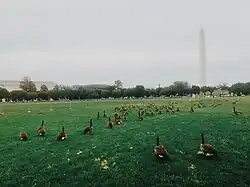 Image 4Axis after restoration (September 2016) (from National Mall)